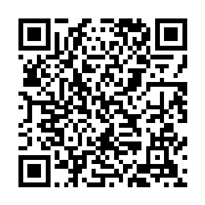 一直都是把陈雪当成一个小女孩那般照顾的……他没有想到二维码生成