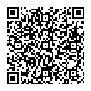 一直都没有挨过的脸上登时传来了比之身上各处中过招的地方还要火辣辣的生痛的感觉二维码生成