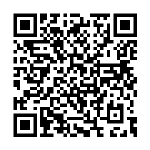 一直采取拆东墙补西墙的办法来应对各部门拨款二维码生成