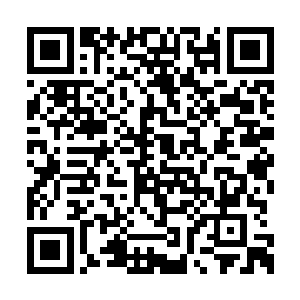 一直隐藏在丹田之中沉睡的小金居然苏醒了过来二维码生成