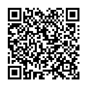 一直靠在一边看戏的墨修尧仿佛看厌了眼前的闹剧二维码生成