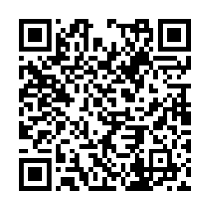 一直颜色和岩浆一样的家伙出现在了众人的视野中二维码生成