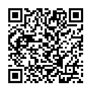 一直飞在许紫烟另一侧的凌一剑见到许紫烟脸色微变二维码生成