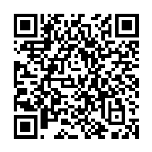 一直骄傲着的暗殿黄金圣使心中升起了一股强烈的不甘二维码生成