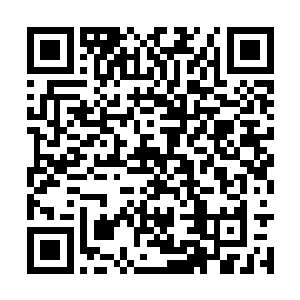一直默默听我们说话的琳遐界主小声的嘀咕了一句二维码生成