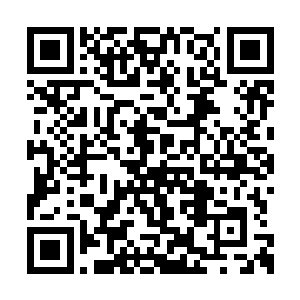 一直kao在夏背上休息的涂山桑突然轻声问了一句二维码生成