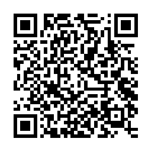 一看便知道修建这条甬道的人绝对是从事过隧道设计方面工作的二维码生成