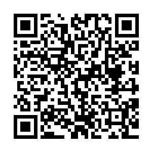 一看出暗幽林是邪灵立刻不问是非黑白以雷霆之势将其给剿灭二维码生成