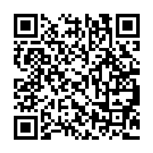 一看到玄琴那双含着暖意的漂亮的似能勾魂的眸子二维码生成