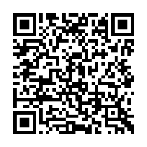 一看就和修真世界格格不入的猩红斗篷飞了进来二维码生成