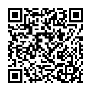 一看是他们的银盟精英学院一年级的天讯序列号二维码生成