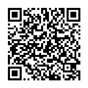 一看龙野的表情和动作就知道他不知道又想到了什么二维码生成