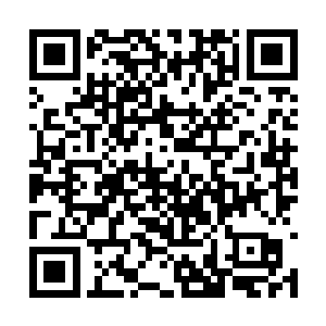 一眨眼功夫数十条藤蔓就将整个金丝血灵死死缠住二维码生成