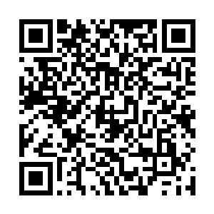 一眼就发现了这套拳法每两个动作都是朝相反方向打开二维码生成