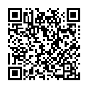 一眼就看出自己已经陷入了一个不死不休的死局中二维码生成