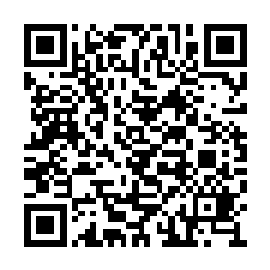 一眼就看到了一身西装短裙站在前台旁的何润卿二维码生成