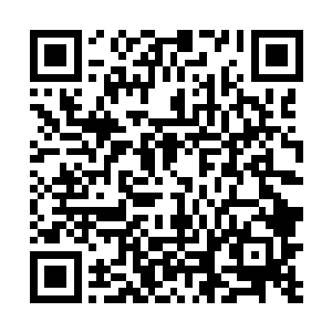 一眼就看到忙碌的马福正在殿中和手下人商量处理事务二维码生成