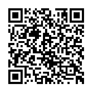 一眼就看到玄天华那若仙的身影从车上从容而下二维码生成