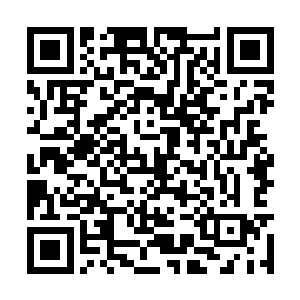 一眼看去只能看到白纱中穿着一身白衣的纤细身影二维码生成