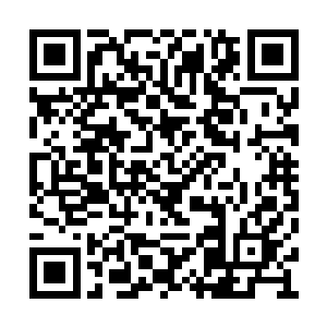 一瞬间就将裴南苇除外的所有人给一通砍瓜切菜二维码生成