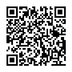 一瞬间张潇晗的脑海里闪过在下界北寒山看到过的妖族二维码生成