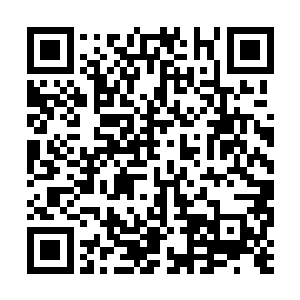 一种似乎枯萎了的却能喷发出血液一样毒汁的藤蔓二维码生成