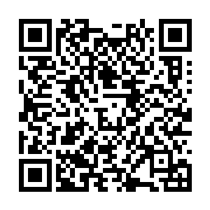 一种在文学作品中进行批判以证明社会主义优越性二维码生成