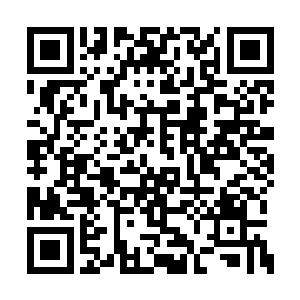 一种很奇异很熟悉的气息感觉从遥远的南方传来二维码生成