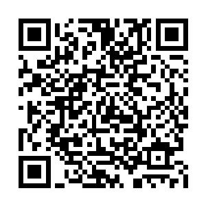 一种是做你的属下……但我立即选择了为你效命二维码生成