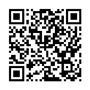 一种是神树种子主动释放出来的绿色气焰二维码生成