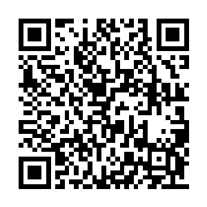 一种极端残忍却又颇合天道自然法则的生存方式二维码生成