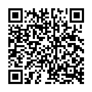 一种特别而异常霸道的气息猛然得就在秋池阁内爆发出来二维码生成