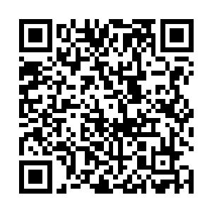 一种龙小宝从来没有闻到过的女人独有的芬芳扑入鼻孔二维码生成