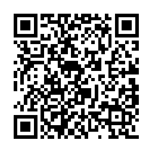 一秒钟之内竟然做了十二次小范围内的急停变向二维码生成