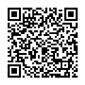 一红一白的两道人影在百花盛开的花苑中选的格外的引人注目二维码生成