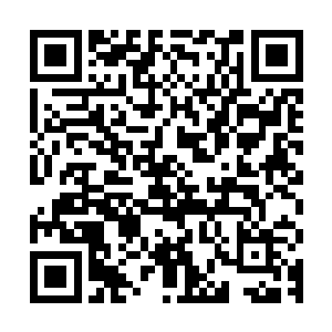 一红一银两道遁光带着呼啸声直奔中央山脉的阴煞地脉区域而去二维码生成