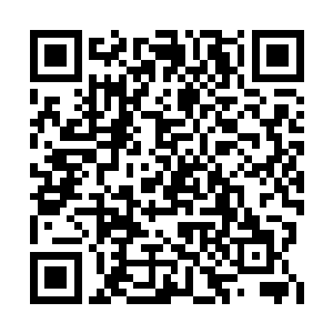 一线的大导演们受到刺激之后会做出一些应激的二维码生成