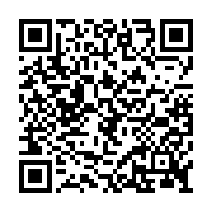 一线阵地上的北洋军在猛烈的炮火中挣扎了许久二维码生成