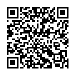 一缕缕的雷电之力与赢勾精血的阴气缓缓的往心脏里灌注二维码生成