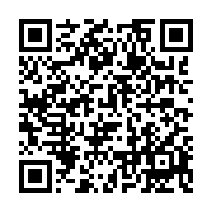 一缕缕精血自妖兽尸体中如流水般涌入不老殿内二维码生成