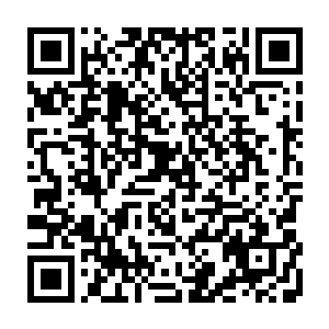 一群人在杨戬两个人的带领下浩浩荡荡的朝着圣魂殿所在的方向冲杀而去二维码生成