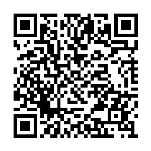 一群人很轻易的就来到了草丛尽头的那颗大树下二维码生成