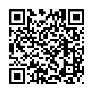 一群十几个稍微小一辈的夏家男女二维码生成