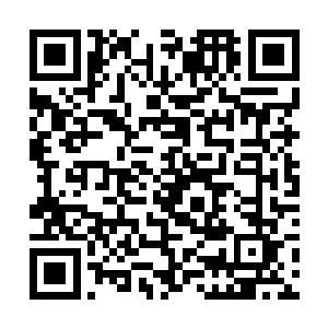 一群半步武帝各自在荒火平原寻到的神料和天材地宝二维码生成