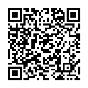 一群士兵挥舞着铲子铁镐沿着那颗几百年的老槐树就往下挖二维码生成