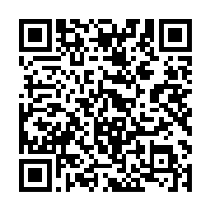 一群废物也想要来这里抢夺时间之塔和大荒门的宝藏二维码生成