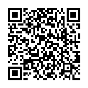 一群没了眼睛浑身也被铁锤和斧头砍的皮开肉绽的人二维码生成