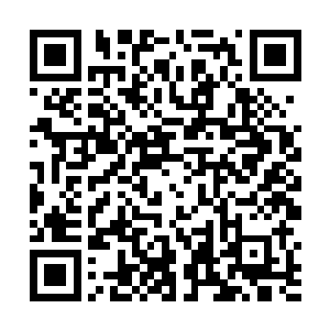 一群穿着比基尼的美女把夏云杰堵在了泳池的一个角落二维码生成