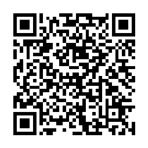 一群红尘莫问的弟子在一个年纪颇大的老者带领下二维码生成