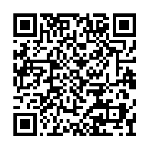 一群自命为神的人正在对这片大陆进行大肆破坏二维码生成